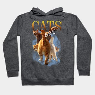 Cats Balls Vintage Hoodie